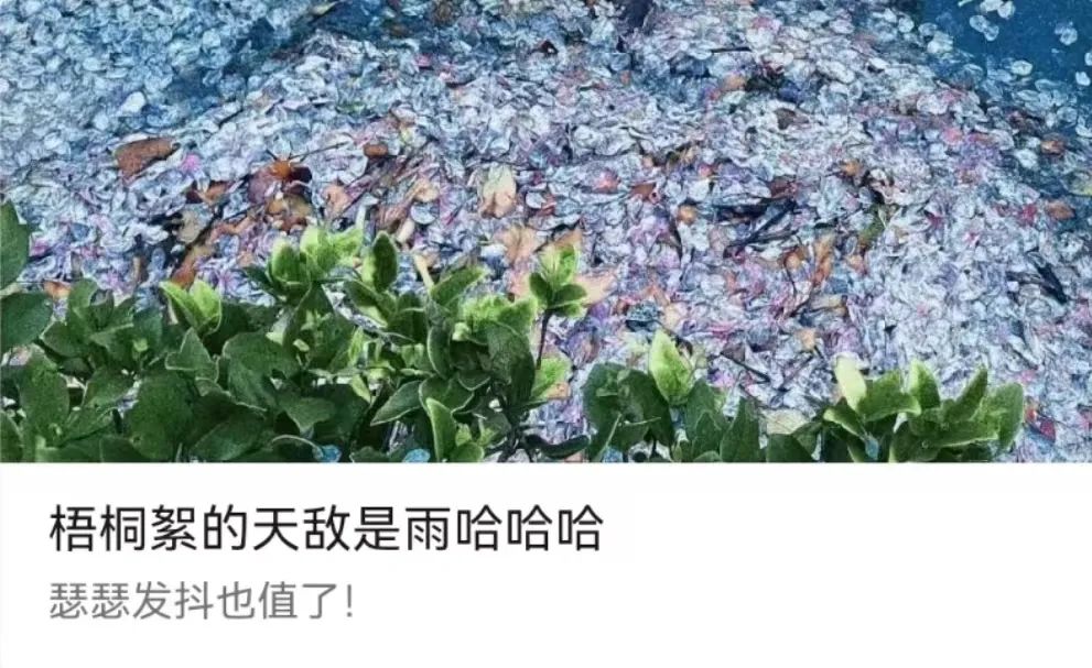 最近看球赛，被很多人惊艳