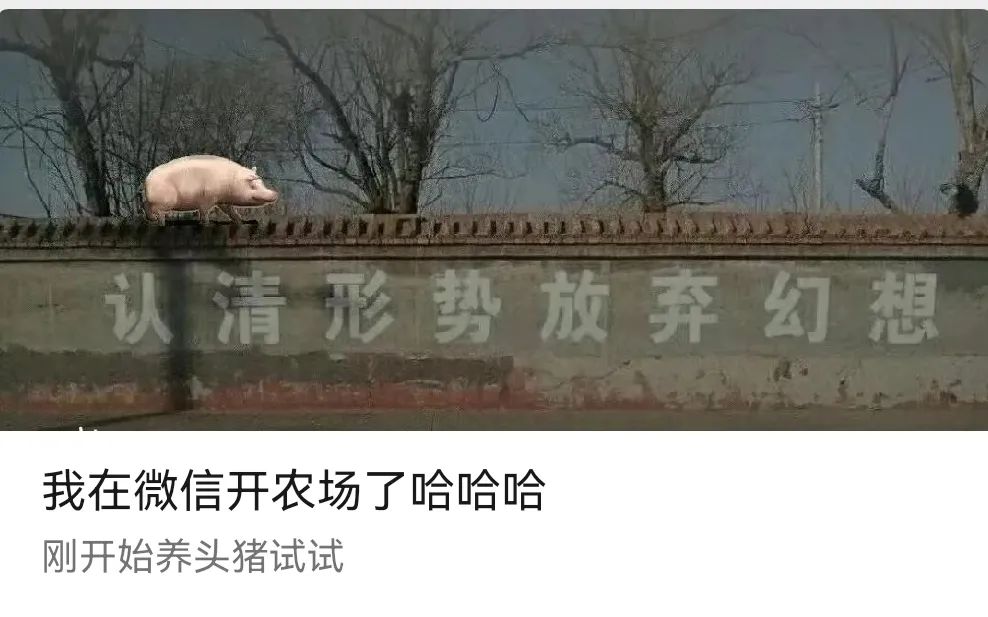 最近看球赛，被很多人惊艳