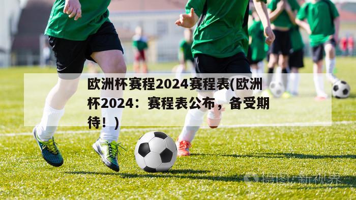 欧洲杯赛程2024赛程表(欧洲杯2024：赛程表公布，备受期待！)