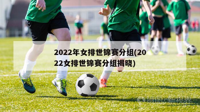 2022年女排世锦赛分组(2022女排世锦赛分组揭晓)